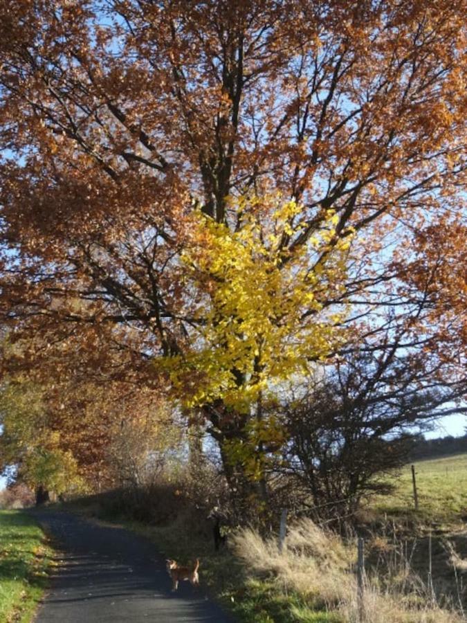 Im Erzgebirge Wandern, Fahrrad Fahren Oder Entspannen Ehrenfriedersdorf Exterior photo