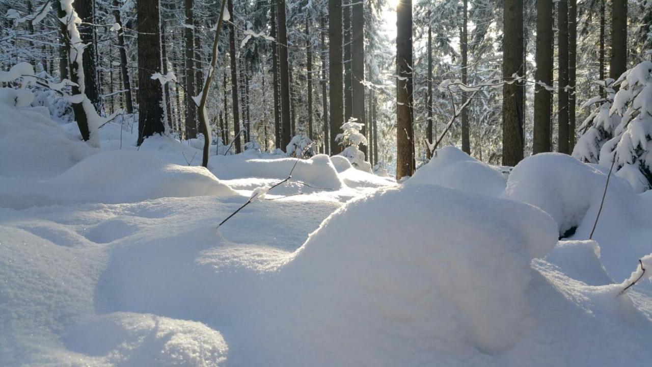Im Erzgebirge Wandern, Fahrrad Fahren Oder Entspannen Ehrenfriedersdorf Exterior photo